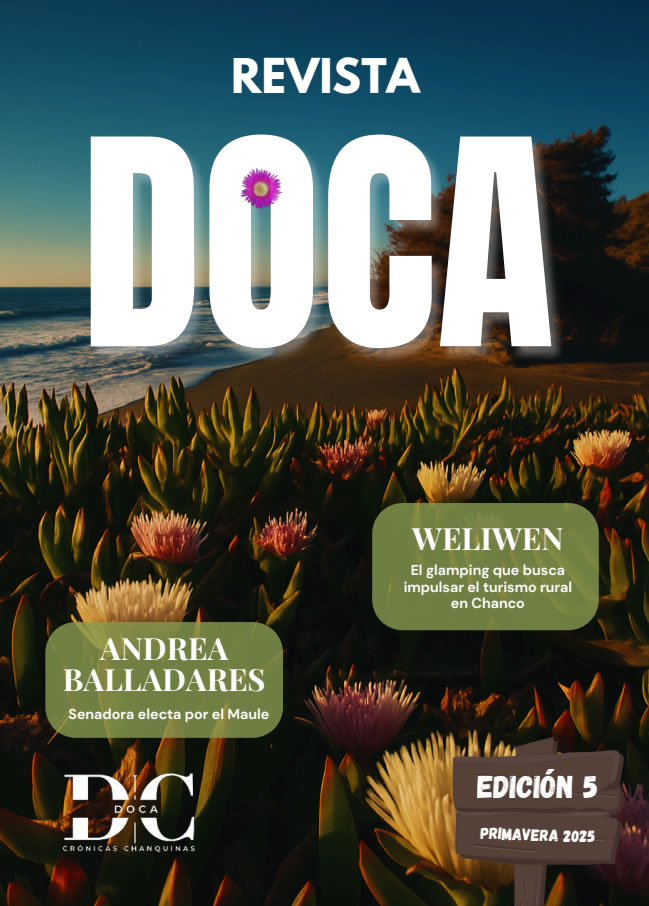 Descargar Revista Doca Diciembre 2025