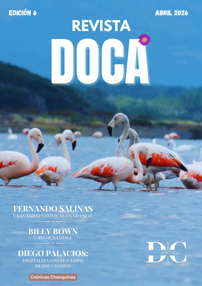 Revista Doca Abril 2026